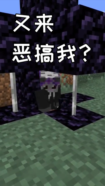 史蒂夫又要恶搞队友了，简易机器让队友动弹不得免费观看