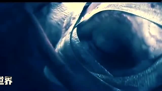 《逆世界猎场篇》第1期：逆世界与现实世界免费观看