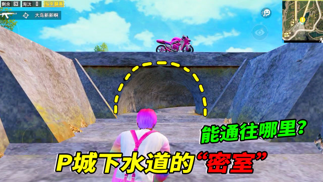 小猴子有答案07：原来P城的下水道里面，还有一个密道？免费观看