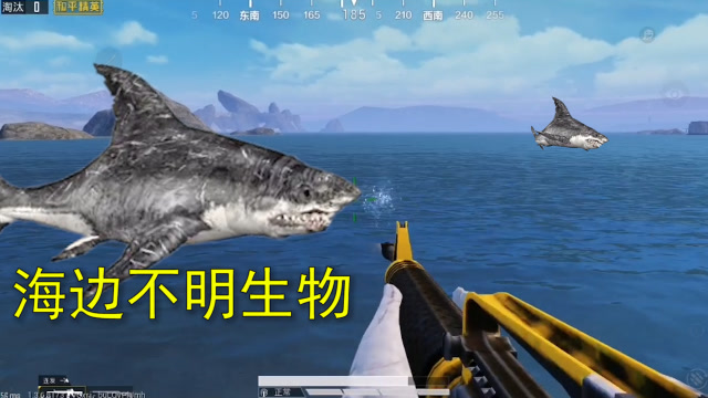 和平精英：海边有不明生物，玩家与其展开大战，却不是它的对手免费观看