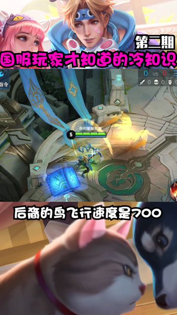 国服玩家才知道的冷知识第二期：后羿大招篇免费观看