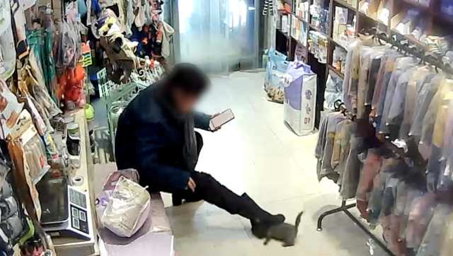 網曝女子退貓不成,竟暴摔小貓還用腳踩