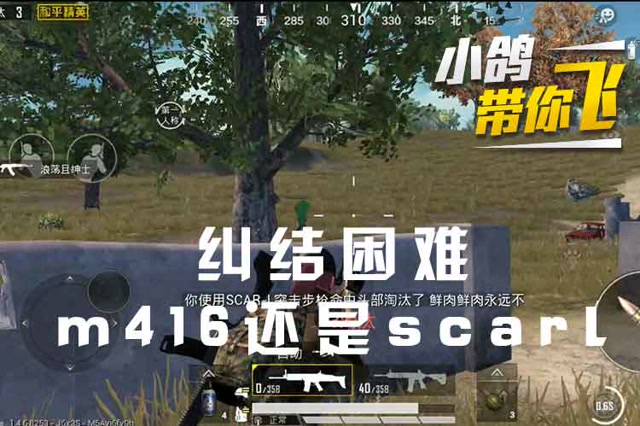 小鸽带你飞 纠结困难 m416还是scarl免费观看