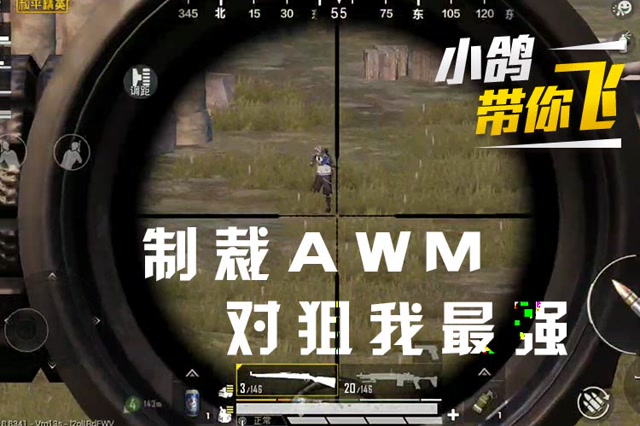 小鸽带你飞：制裁awm，对狙我最强免费观看