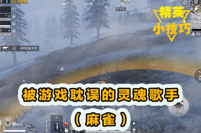 精英小技巧：被游戏耽误的灵魂歌手[麻雀]！免费观看