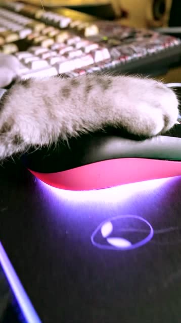 情人节兄弟上车的正确打开方式@在下铁头阿彪免费观看