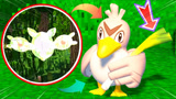  我的世界精灵宝可梦64：沼泽抓住人造细胞卵，大葱鸭的葱是调料吗？
