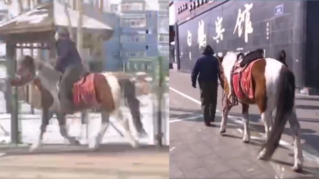 東北大爺騎馬幫朋友買菜被民警攔下:我聽話 回去騎電動車去