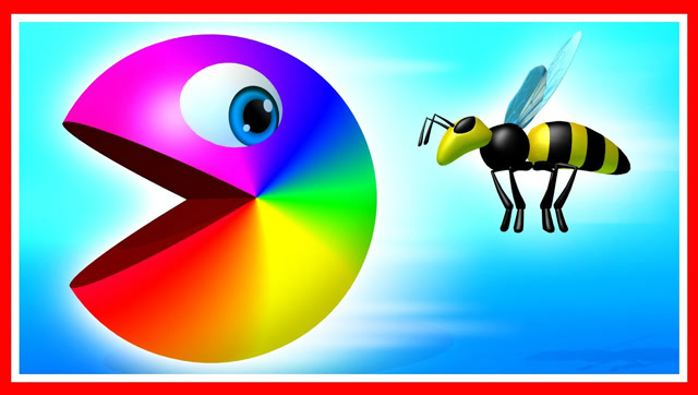 吃豆人大作战：彩虹吃豆人来了 3D搞笑动画免费观看