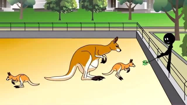 火柴人：公园喂小袋鼠免费观看