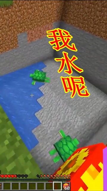 我的世界：神奇方块！简易抽水道具来袭，海龟：我水呢？免费观看