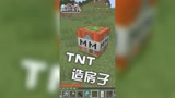  我的世界：不会建房子不要紧，我用一个TNT就能做出来！