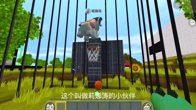 迷你世界：主播做的篮球陷阱有缺陷，只要用坐骑就可以逃走，怎么办免费观看