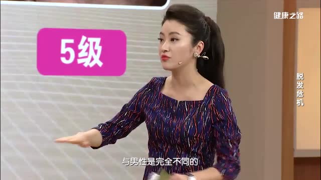 脫髮過程全解