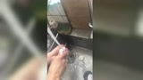 老头吃的油嘴马哈的!