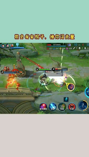 宫本武藏:敢欺负我家猴子，揍你没商量！免费观看