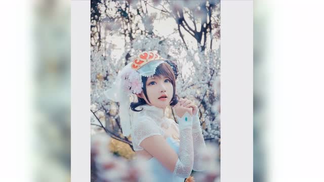 笑死人的王者荣耀免费观看