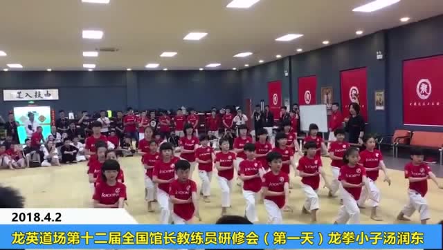 龙拳小子汤润东(一)视频