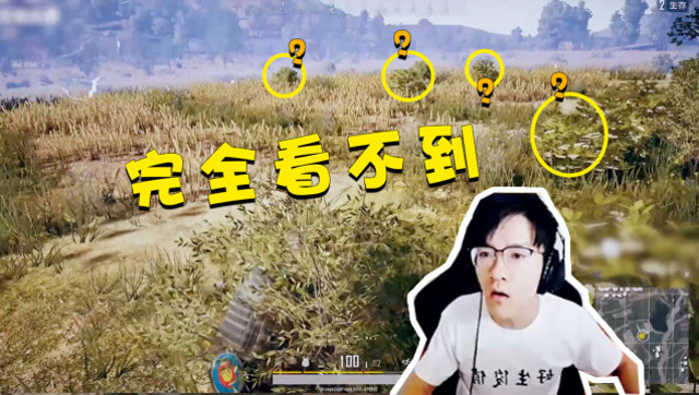 绝地求生若风：看了十几遍才找到人在哪，吉利服也做不到这么隐蔽吧免费观看