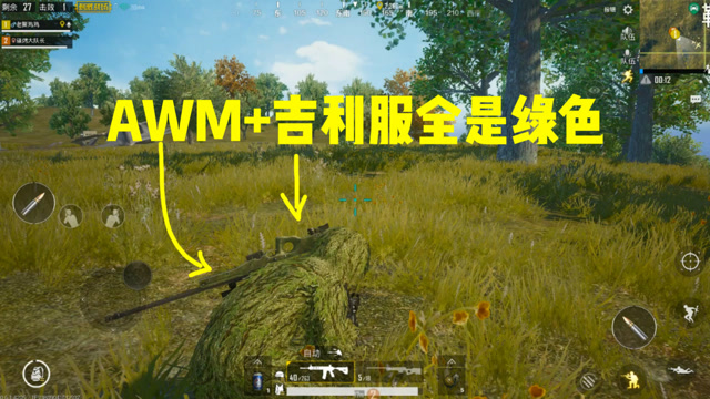 刺激战场：吉利服+AWM无敌，全是绿色，伏地自己都看不到自己免费观看