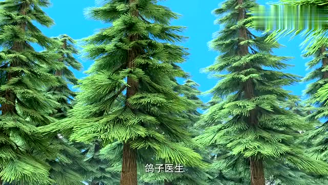 熊出没:鸽子医生说了熊大的牙齿里没有虫子