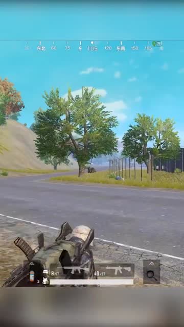 刺激战场：大哥这样对待自己的队友，系统都看不下去了免费观看