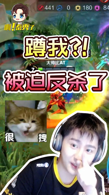 王者荣耀阿泰：我被反操作了？！免费观看