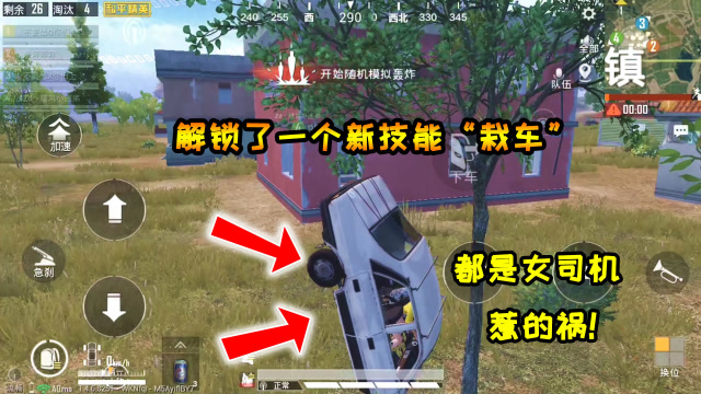 奔奔解说：女司机从来没让人失望过！别人栽树奔奔栽车，太好玩了免费观看