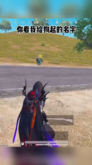 和平精英：就说牛不牛吧免费观看