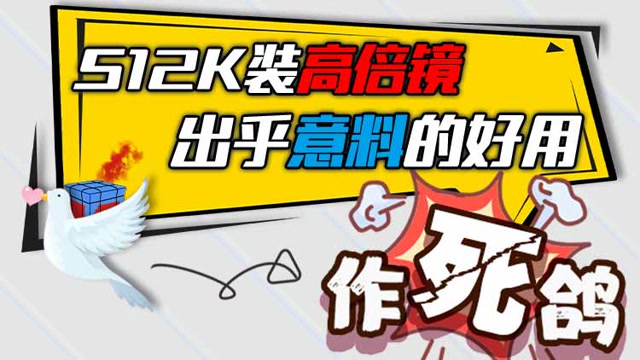 作死鸽：S12K装高倍镜，出乎意料的好用免费观看