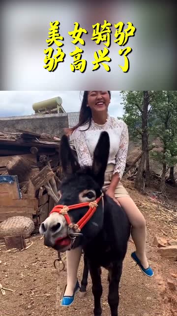 农村小姐姐骑驴高兴坏了,大驴也是相当的享受,一看就是头公的