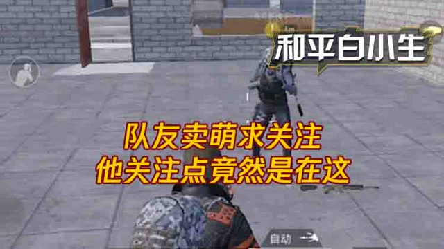 和平白小生：队友卖萌求关注，他关注点竟然是在这免费观看