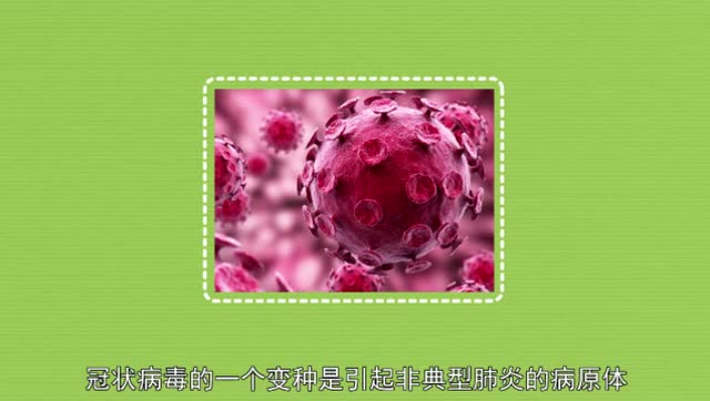 冠狀病毒的介紹