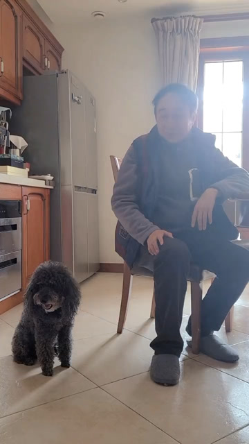 视频中,冯巩在家中逗弄着宠物狗,准备带狗狗出门遛弯.