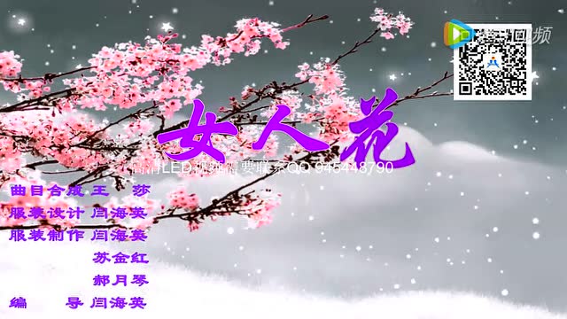 1071.女人花 流行歌曲led视频背景