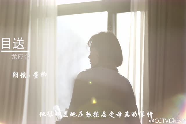 董卿深情朗读《目送》,听完感动落泪