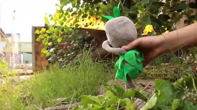 植物大战僵尸：这味儿真够大免费观看