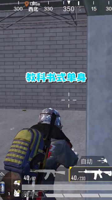 和平精英：教科书式单身免费观看