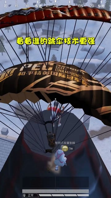 唯一的队友摔倒了，怎么才能安全下去？免费观看