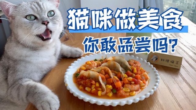 【料理猫王】猫咪做的饺子,一个敢做,一个敢吃