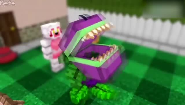 我的世界：食人花僵尸就交给你了免费观看