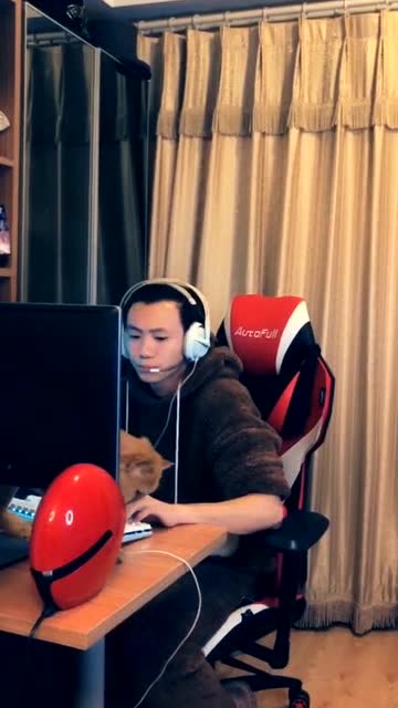 [萌宝宝]教你让他不再沉迷小红帽免费观看