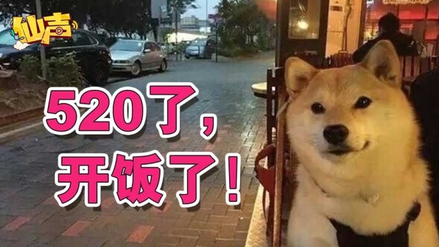 张大仙《仙友Show》之仙声：前方单身限定，恋人慎入免费观看