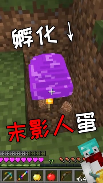 偶然捡到的末影人蛋，能孵出小末影人吗？免费观看