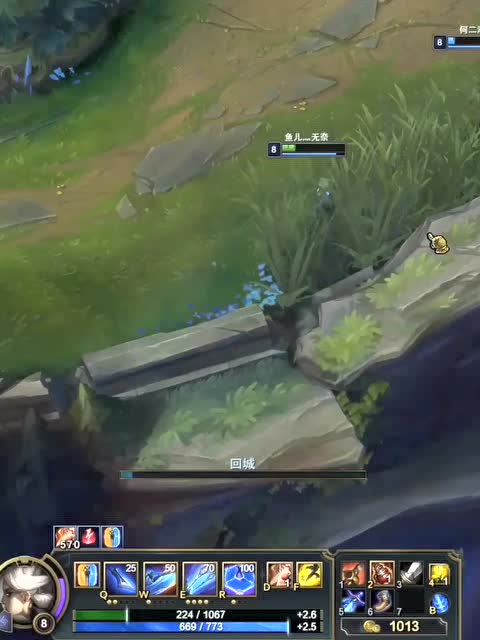 LOL有这样的辅助，你还问我为什么上不了王者？免费观看