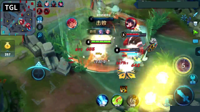 东辰-白白,最强王者-刺客,不死花木兰秀全场，666！免费观看