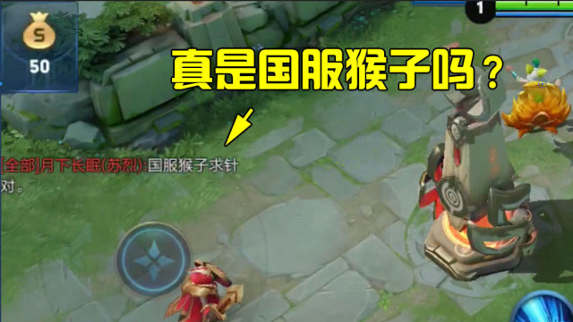 王者荣耀：对面有国服猴子？开局心里好慌，最后结局逗死我了免费观看