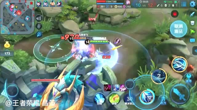 王者荣耀：五杀我拿定了，天美也拦不住免费观看