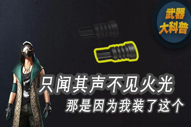 武器大科普：只闻其声不见火光，那是因为我装了这个免费观看
