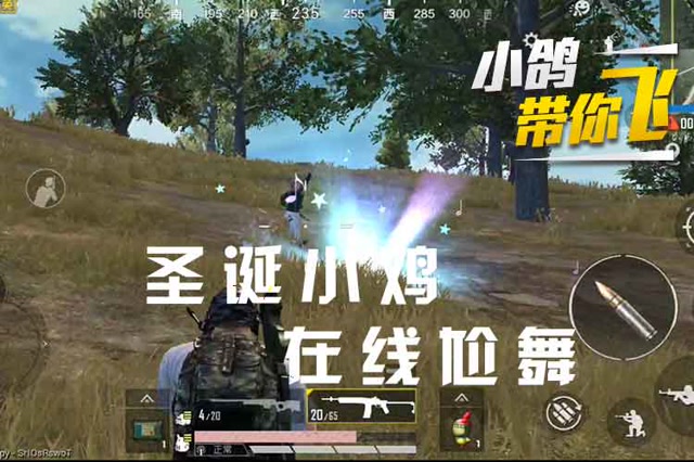 小鸽带你飞：圣诞小鸡，在线尬舞免费观看